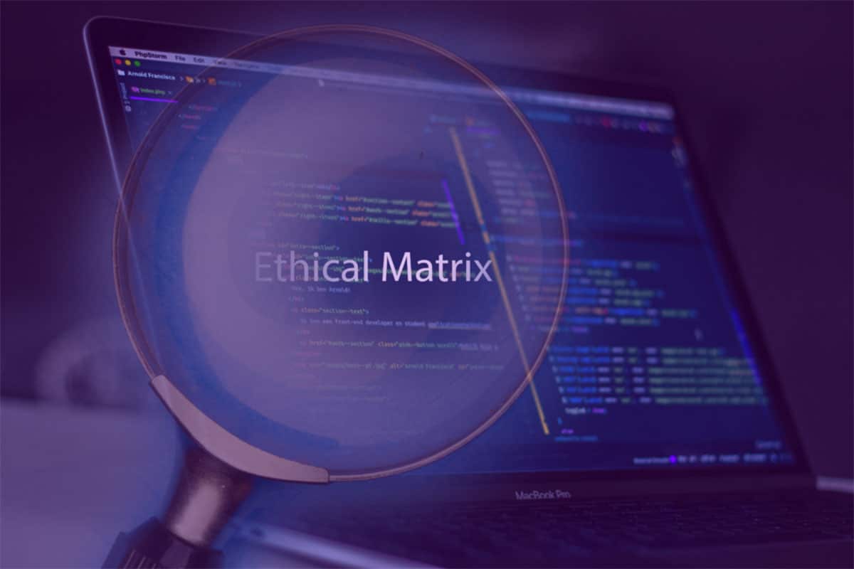 AI Assurance: An “ethical matrix” for FakeFinder
